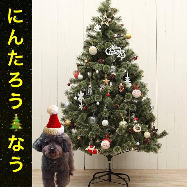 929be0ad 461d 4e88 9e31 94c7b14c3444