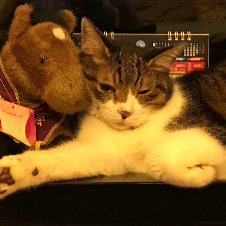 929be6f1 e427 48f7 9ccd 543464879e3d