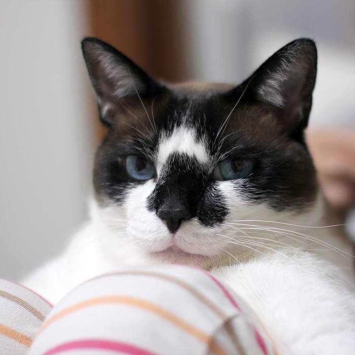 929cc158 1c44 4827 b2c3 73920e00b04d