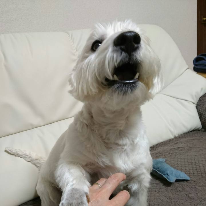 929cc8eb 0125 4f81 9e1a 6416e417422c