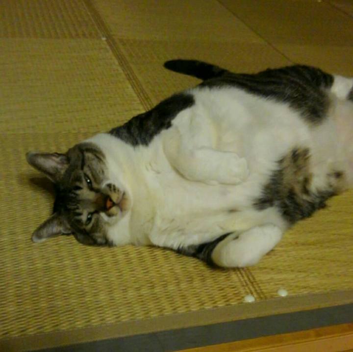 929d2bfd 5d3f 41d9 8540 63f1112ec9f5