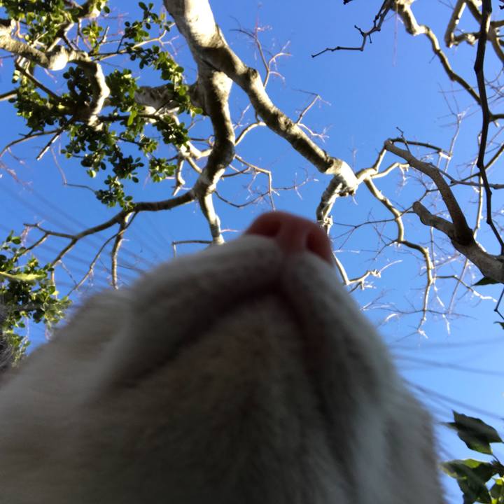 92a0974c c8fc 4785 bd34 7564bd425afb