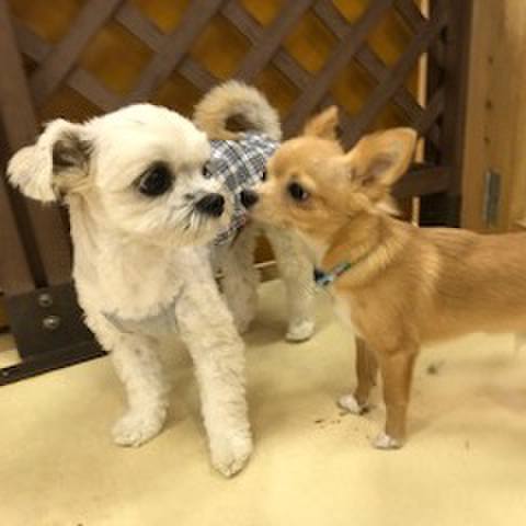 92a1ba9a 7386 4565 a84d f0fde94fe9ef