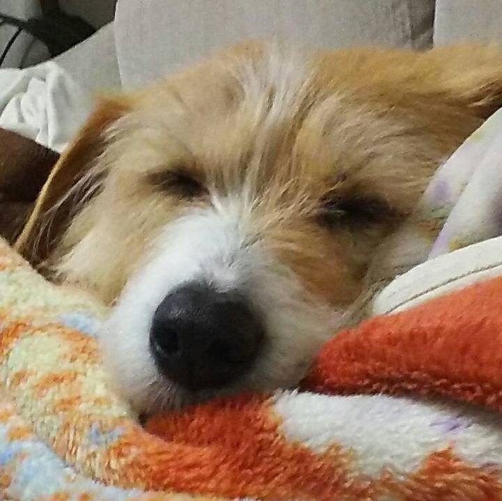 92a1cb89 dcbc 4d34 a8c3 2ad544a07af8