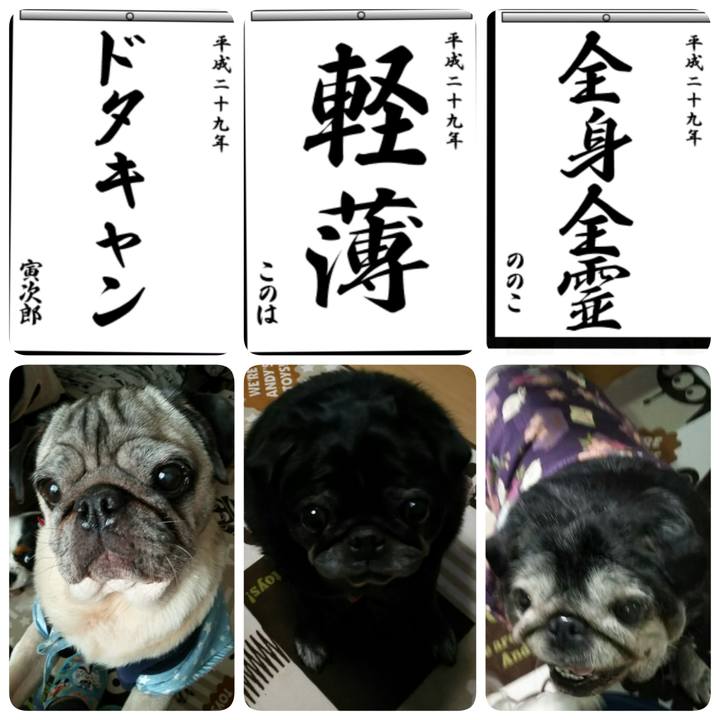 92a20001 909c 406d b644 f7f17a3faf1d