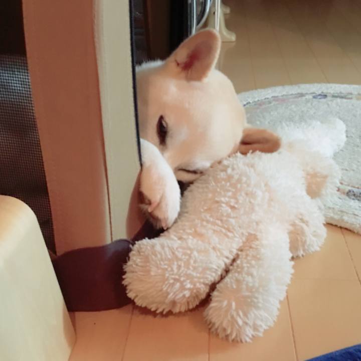 92a211c0 b6e1 42f3 9353 4946ec9c32a1