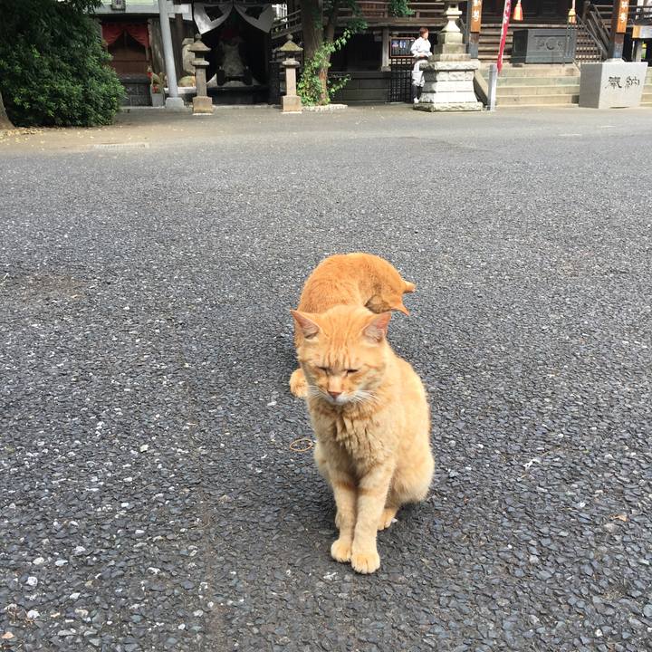 92a225b1 1d0b 4b2d b853 b50b736ff4dc