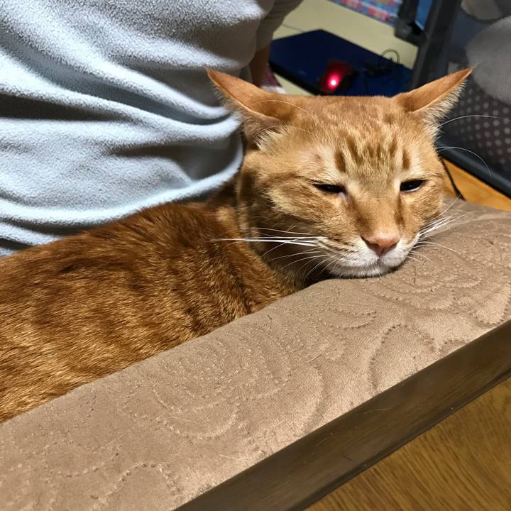 92a240a4 665d 4912 ba19 be9961f5f6d4