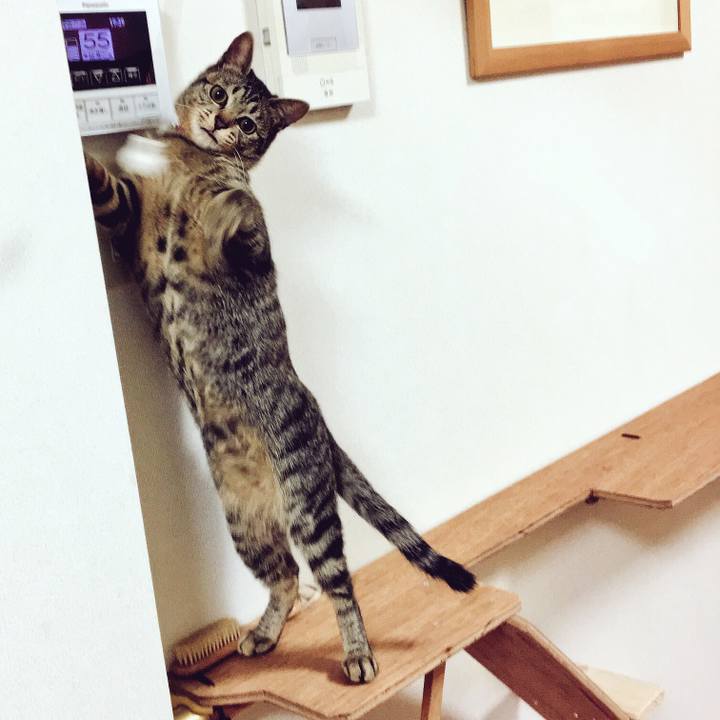 92a297a7 6956 428c 820f 20b5f6cc35f2