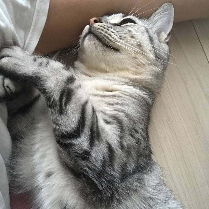 92a2e00c 3dff 4192 8891 063c4af77bb8