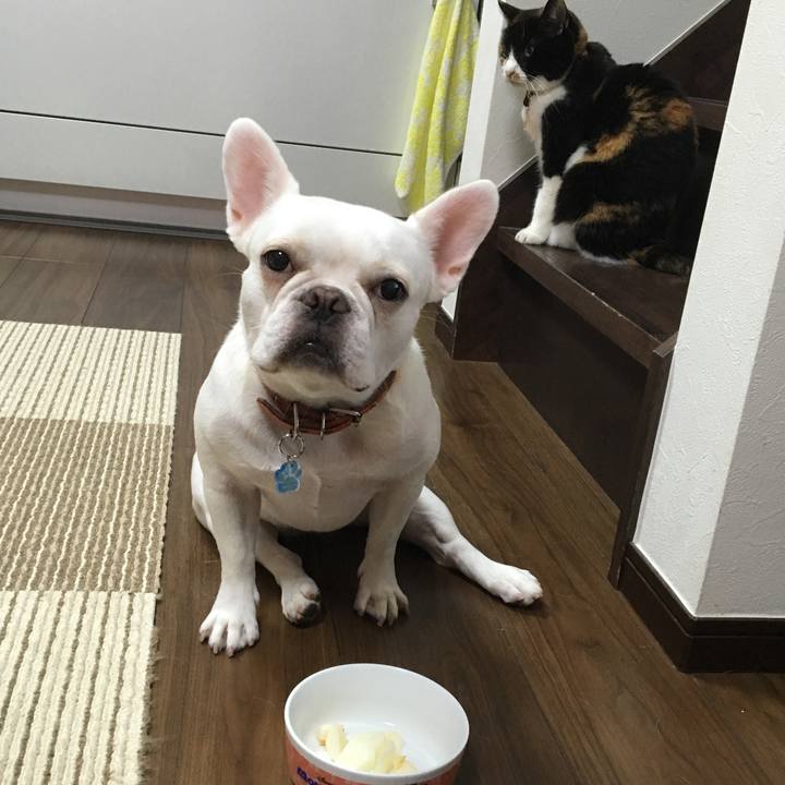 92a30f26 5ac6 4cc9 b3d6 c39d8c6d5bfe