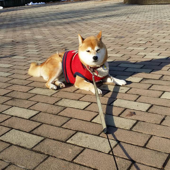 92a4710e d051 4637 8fac 8e239f6a6ef2