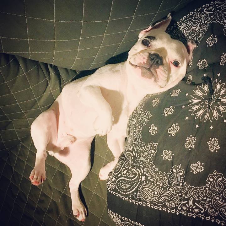 92a4df04 1c3c 4bfe af23 1d65253ff3e6