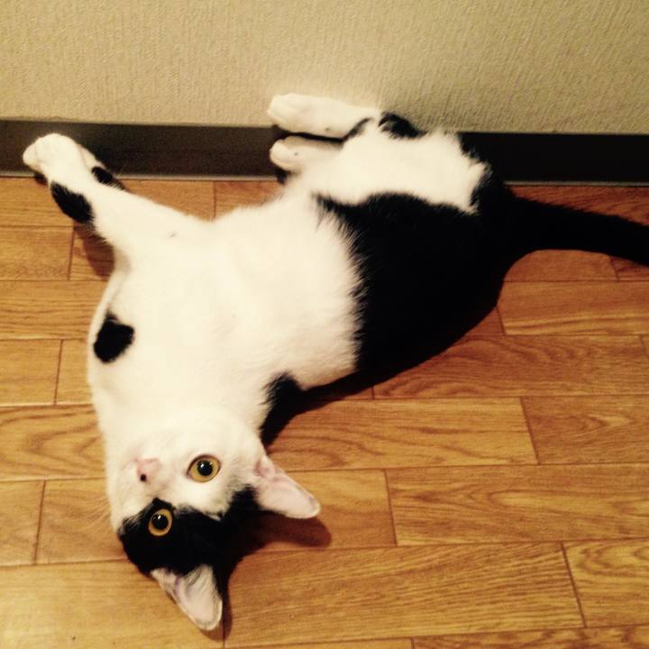 92a54e4c ae40 4bb9 aa38 f848f1abd6f1