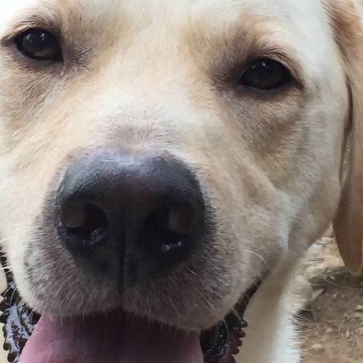 92a554a6 4bcf 4ffc b3ba fe517bd9acec