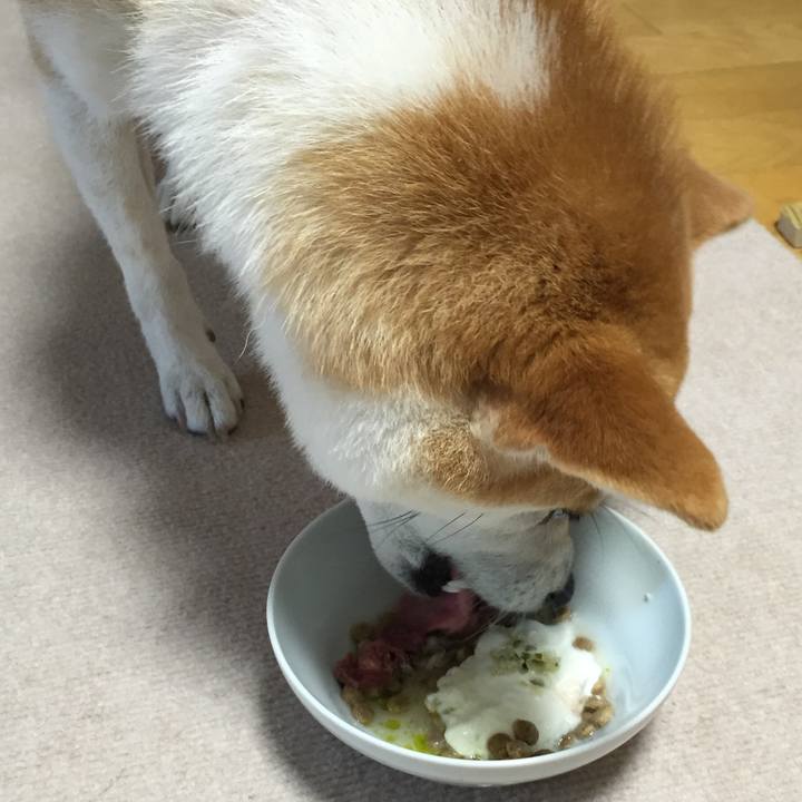 92a59ac1 3620 4012 b8b9 d30dd6e46d8d