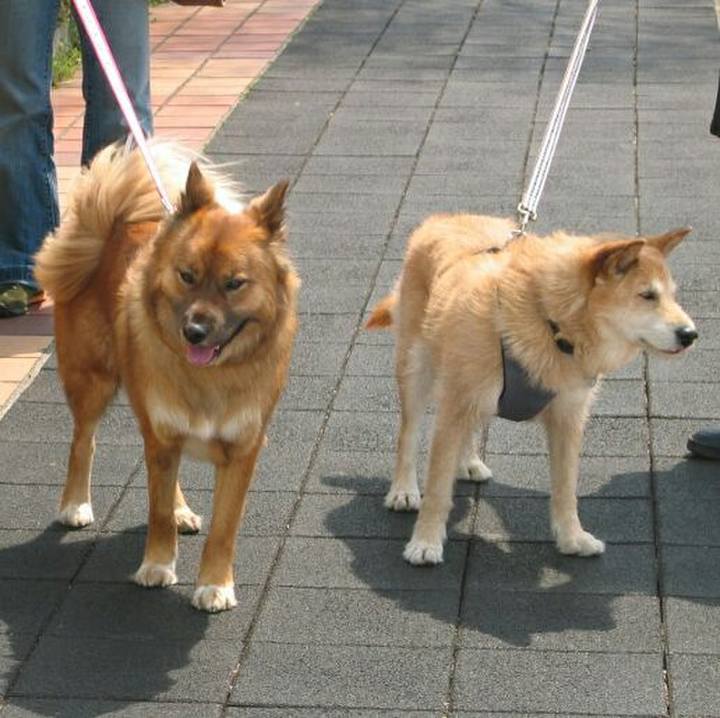 92a5d61b 6f91 4d25 81e6 e253ca24fc19