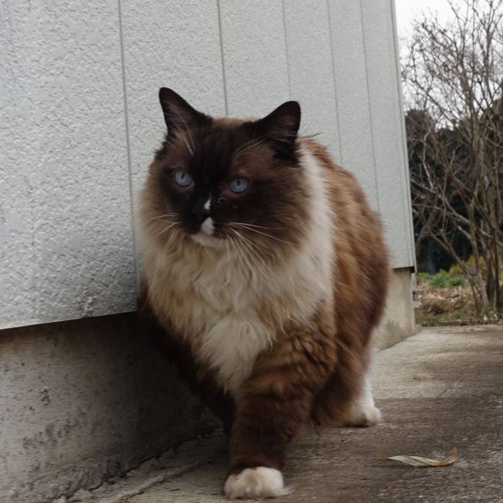 92a616e0 f273 4378 9504 c7cc724ec600