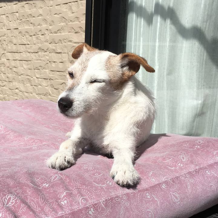 92a65f82 76a1 4920 a4ce 8b8603bfb092