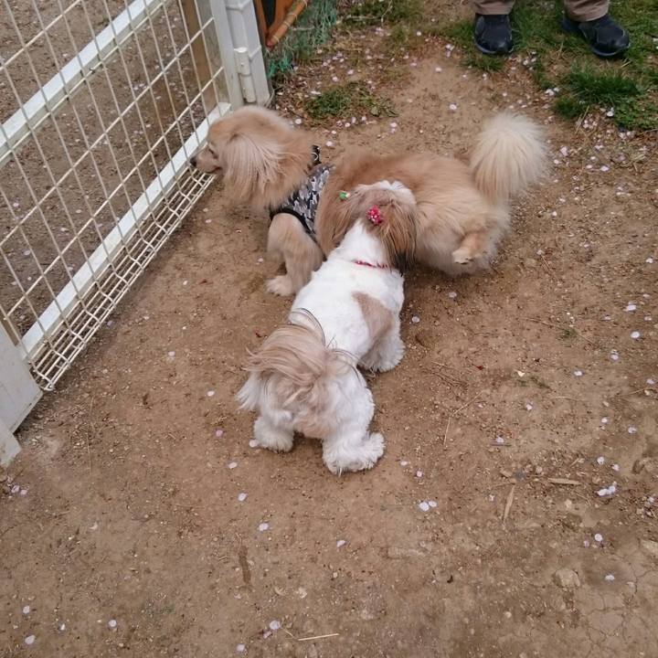 92a68874 3c23 490c a925 52c52dc54399