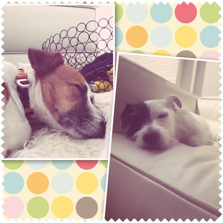 92a6b717 c193 4c2f 9691 b269c321cbe4