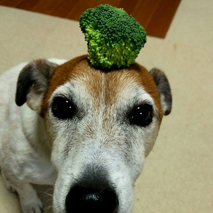 92a712cd 5888 4b82 b2eb 5f33b3c1ff5f