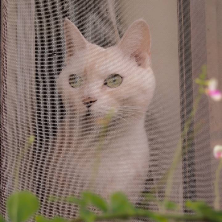 92a75986 f87c 4cec 977e cec60c769a94