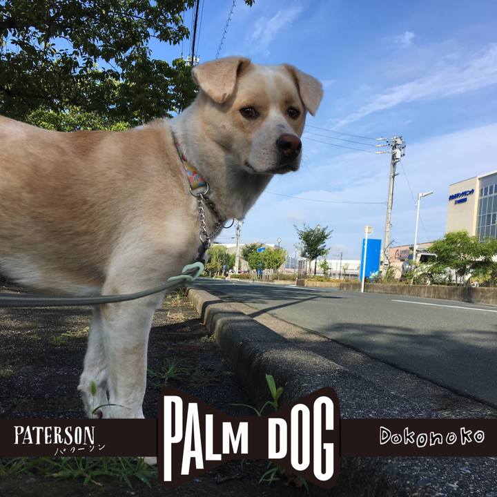 92a7f35d 5685 4c9c 8843 283d02cada92