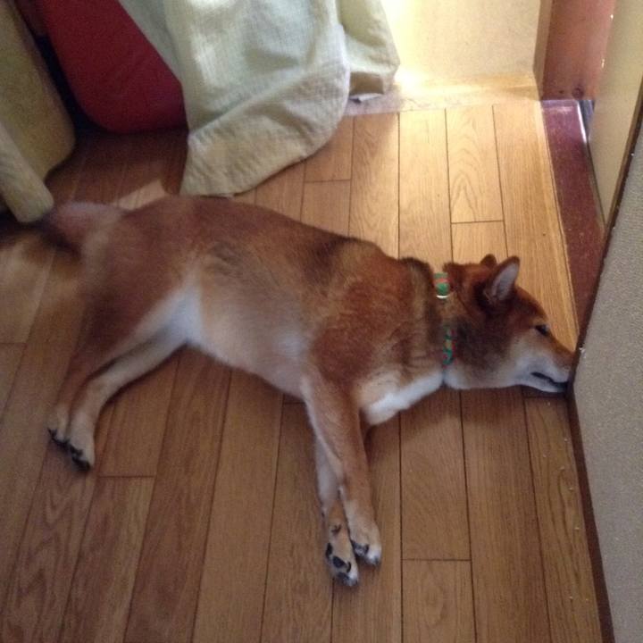 92a80298 b195 45f0 81ae 434a959da001