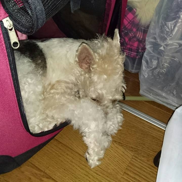 92a83812 99d2 421c 801a 8f8dfed0dfcb