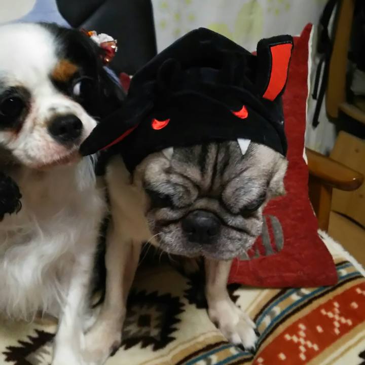 92a8b649 987e 40e0 8ac5 c7d3548f5ace