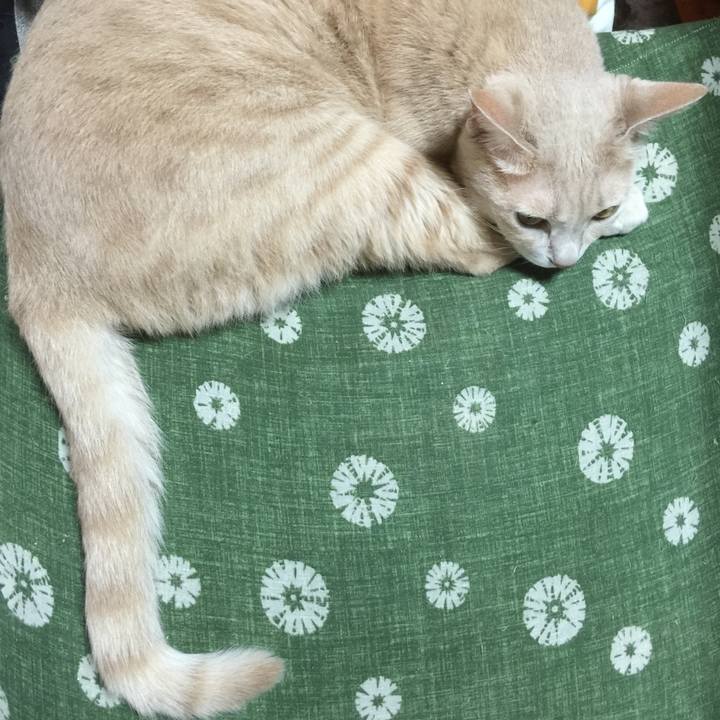 92a8c4eb 563e 4ba7 9dfe b50d9213a548