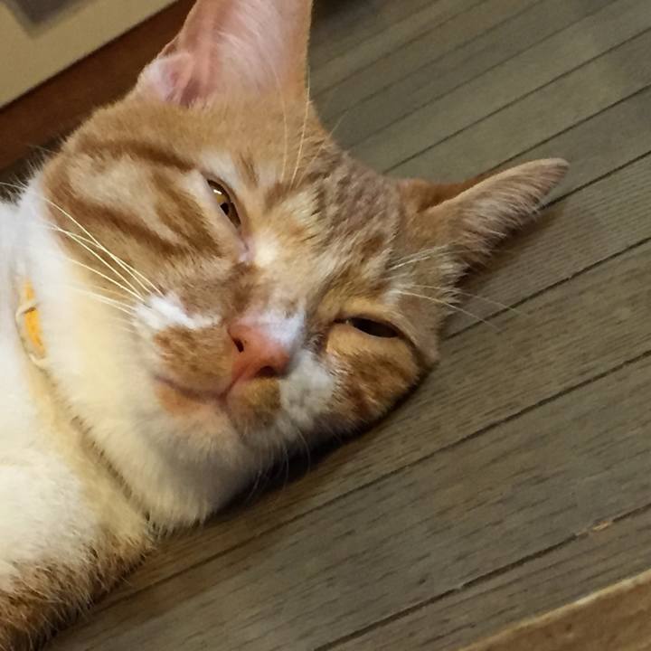 92a8fdfd fe03 4d61 a6b3 f6e654f63b9b