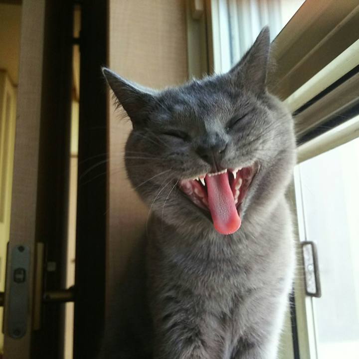 92a927bc 7913 4625 9220 a3b3ec93dafa