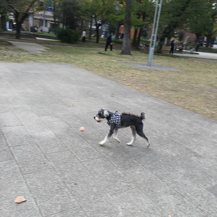 92a9efe9 c197 44f7 bda7 3d072d328581