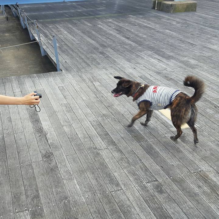 92aaa765 5e7b 48ef 9c77 dd3029574862