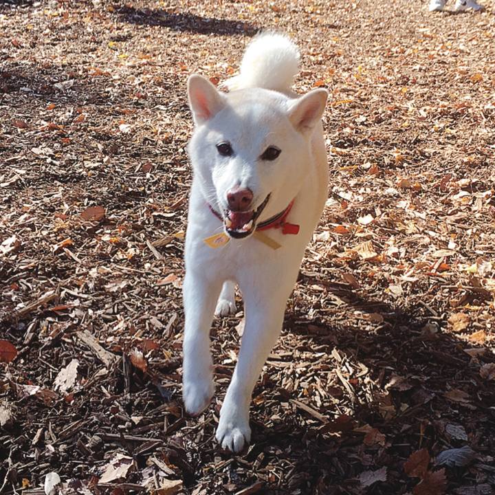 92aaddb6 c8e5 4dd4 9931 021907e6caca