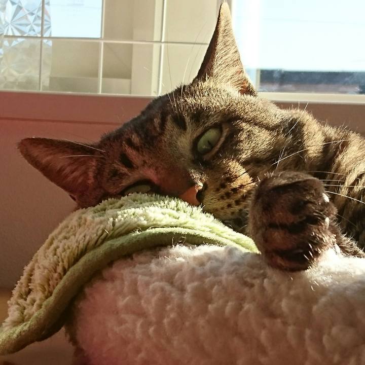 92ab512c c625 4f79 b159 95d119d3949d