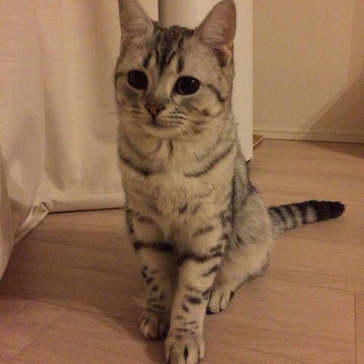 92ab7b05 ffae 4814 a887 909f3fb810c4