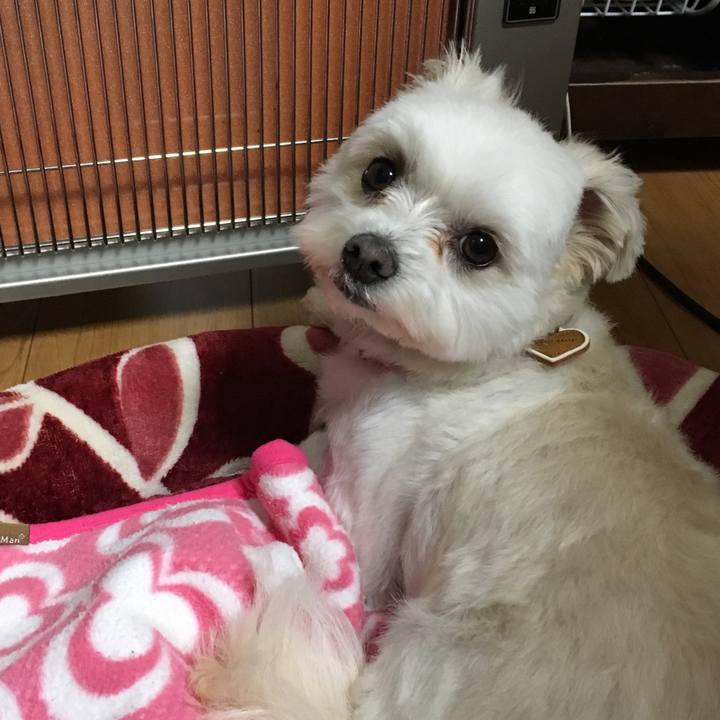 92abac78 6967 43aa 982c ea5e01d1e9a0