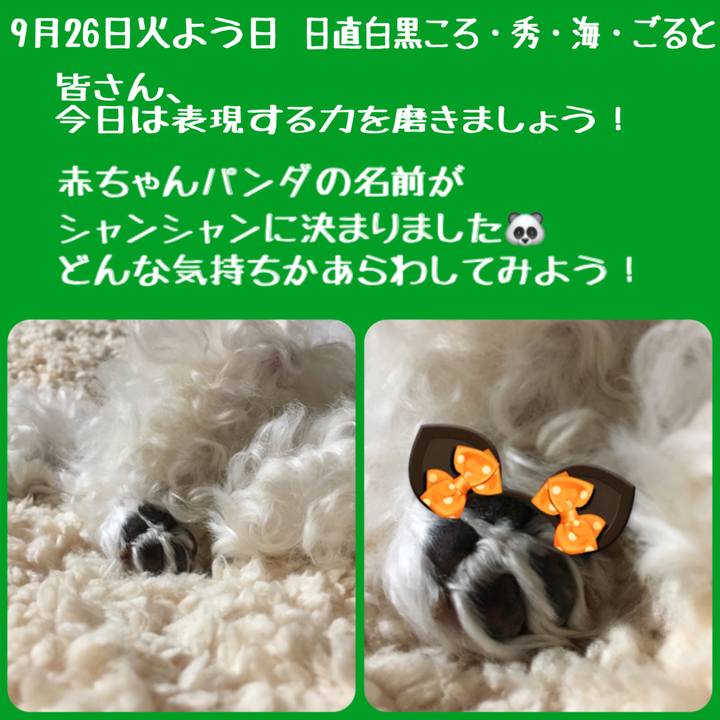 92abec1e a208 4456 861b 652281f60b07