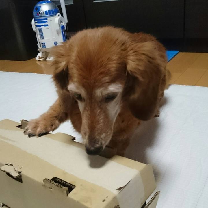 92abfd27 0df5 45b9 a6c6 7be667ec470d