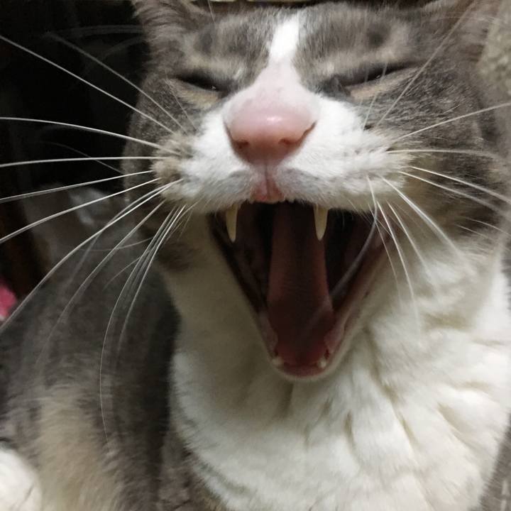 92aca4ff de3d 477d a305 c5c36de86bd0