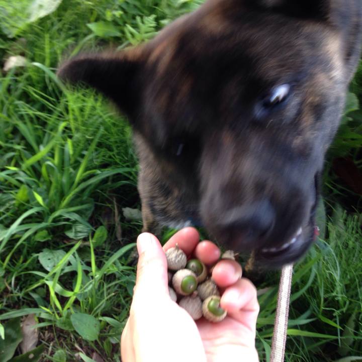 92ace052 e45a 45c6 9ce7 1c2885a09c33