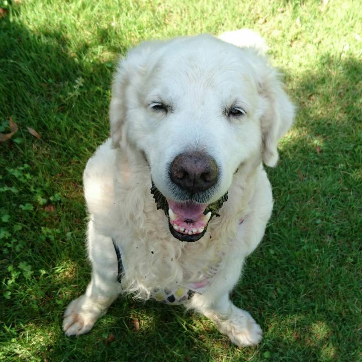 92acee42 b52c 483f 8279 9384016a5ccf