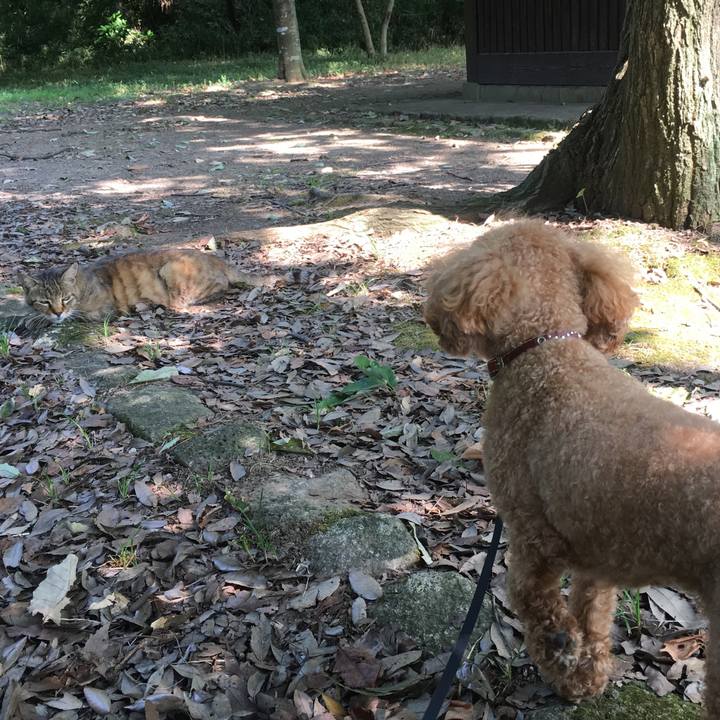 92ad5d4b 5b71 4bce 9996 b59a639dffd9