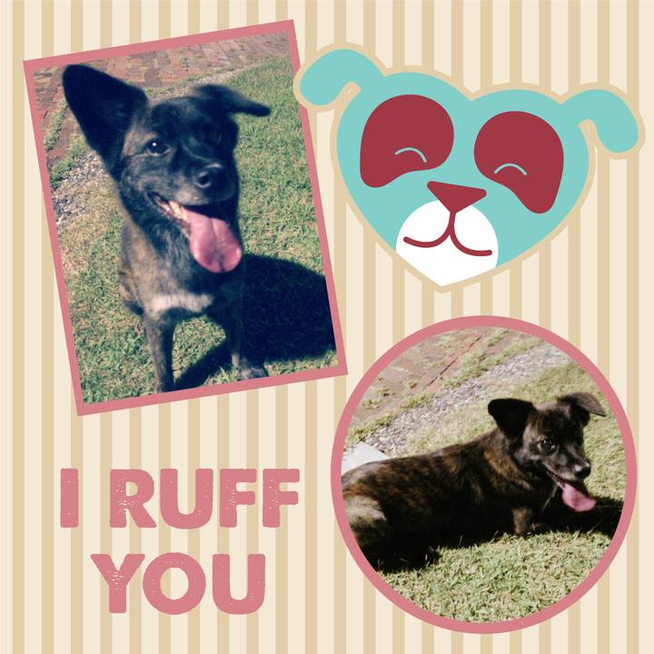 92af4681 73df 4a60 8f91 209cb1d1fe72