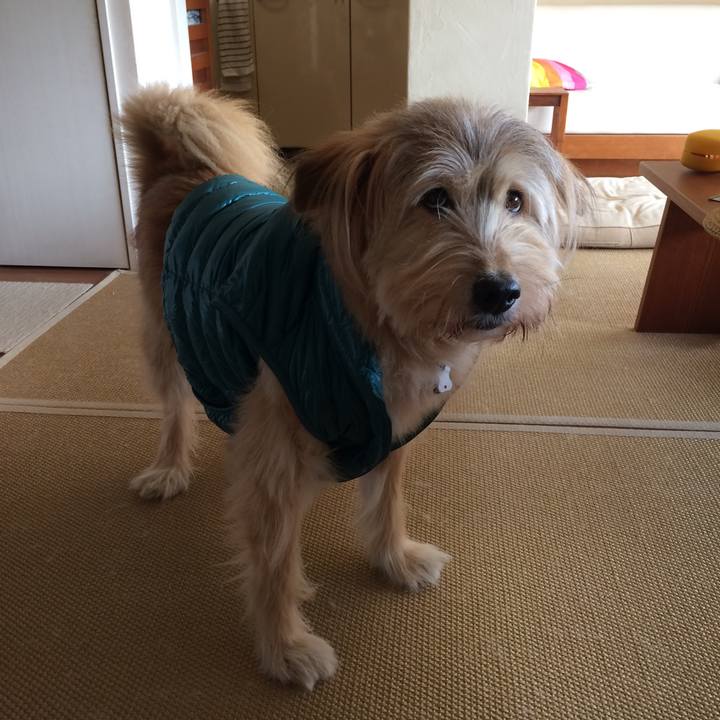 92af5978 17c7 43d9 a082 11e49f235eae