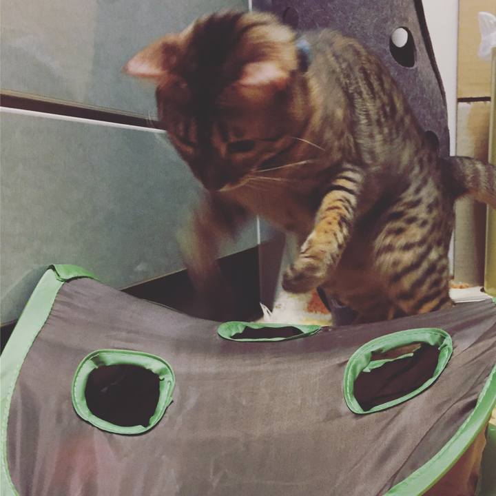 92af790f 6f05 4597 b297 de422e05dd6a