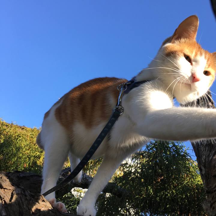 92afd63e 9c55 440a a8a3 3aa5c4bdd92f